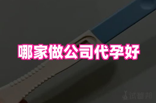 贵州助孕网站 1