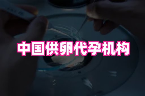 贵州助孕网站 2