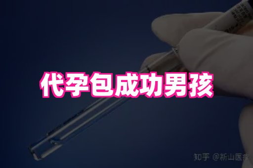 贵州助孕网站 3