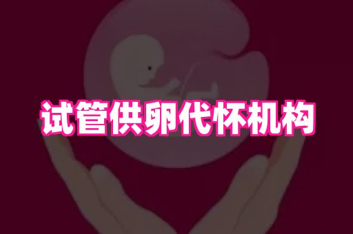 贵州助孕网站 4